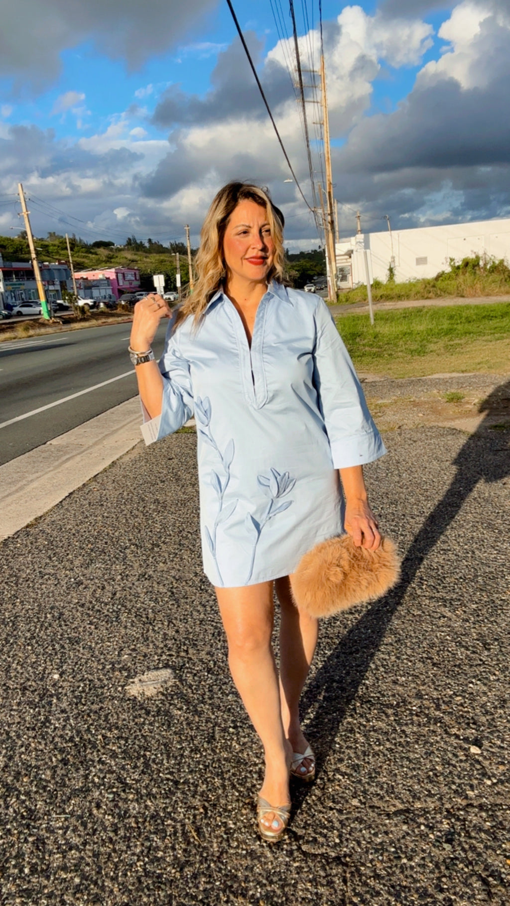 Powder Blue Dress